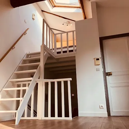Duplex De Luxe Paris
